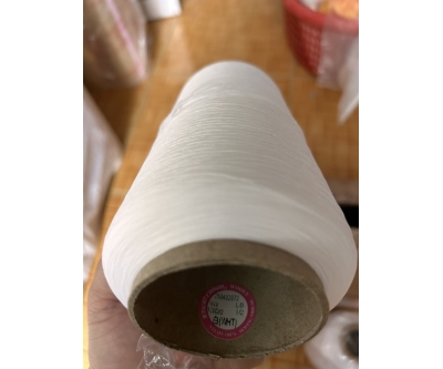Sợi nylon 70D/2, 100D/2....