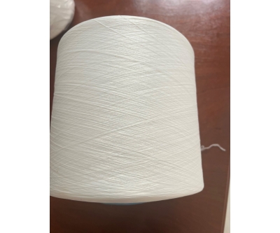 Sợi nylon 70D/2, 100D/2....