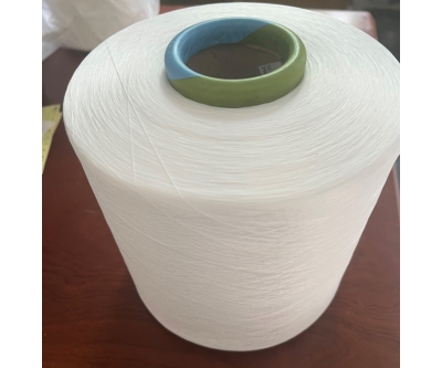 Sợi nylon 70D/2, 100D/2....